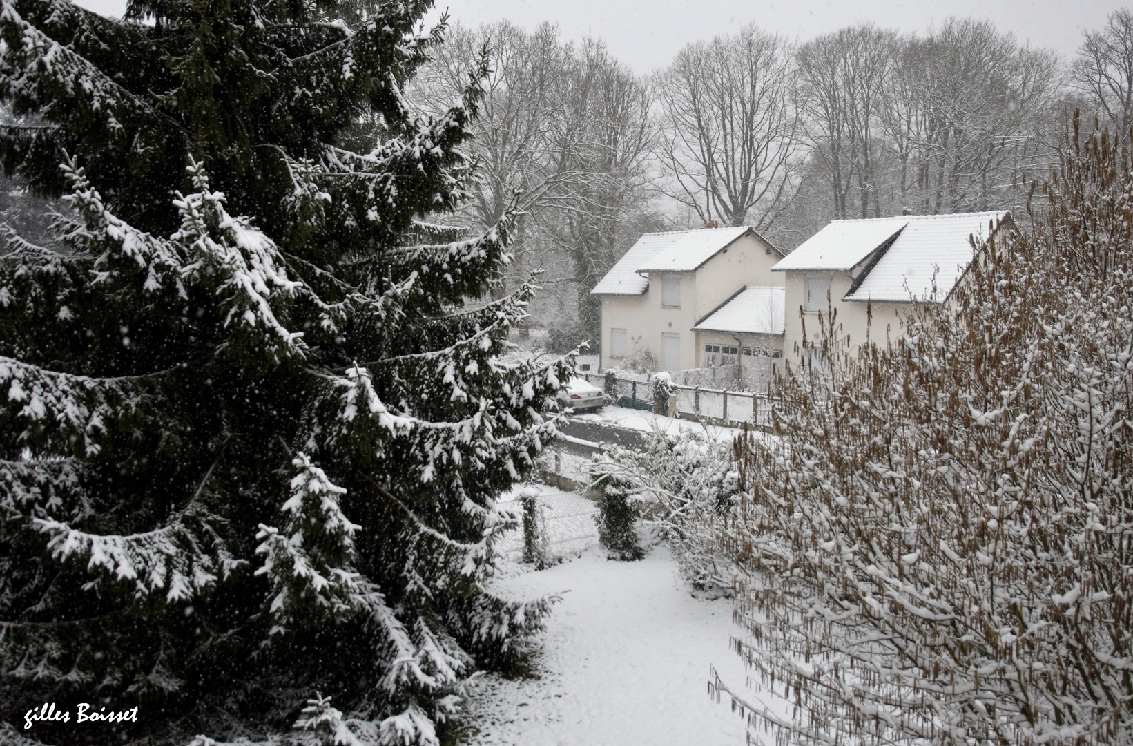 l'hiver à ma fenêtre