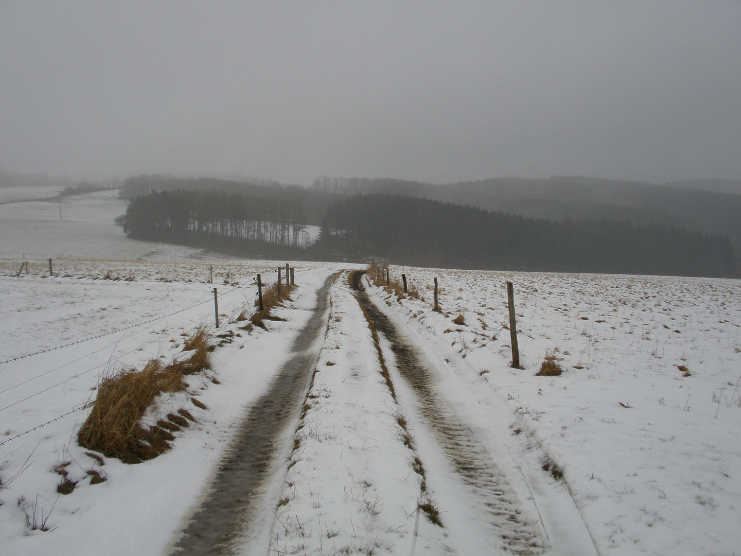 L'hiver à Quatre Bras de Gênes