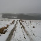 L'hiver à Quatre Bras de Gênes