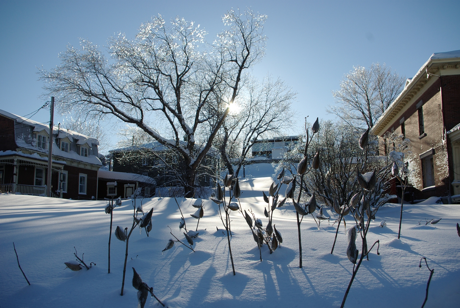 L'hiver à Quebec