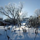 L'hiver à Quebec