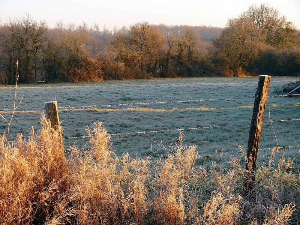 l'hiver arrive!