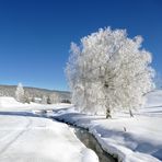 L'hiver au carré............