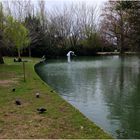 L'hiver au parc