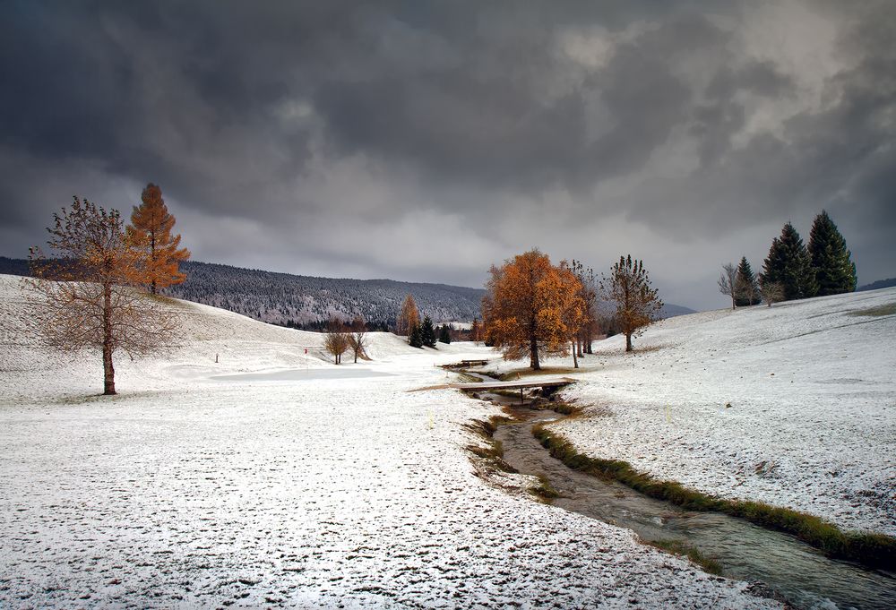 L'hiver aux trousses.......