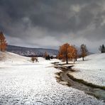 L'hiver aux trousses.......