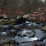 " L'hiver aux Vaux de Cernay "