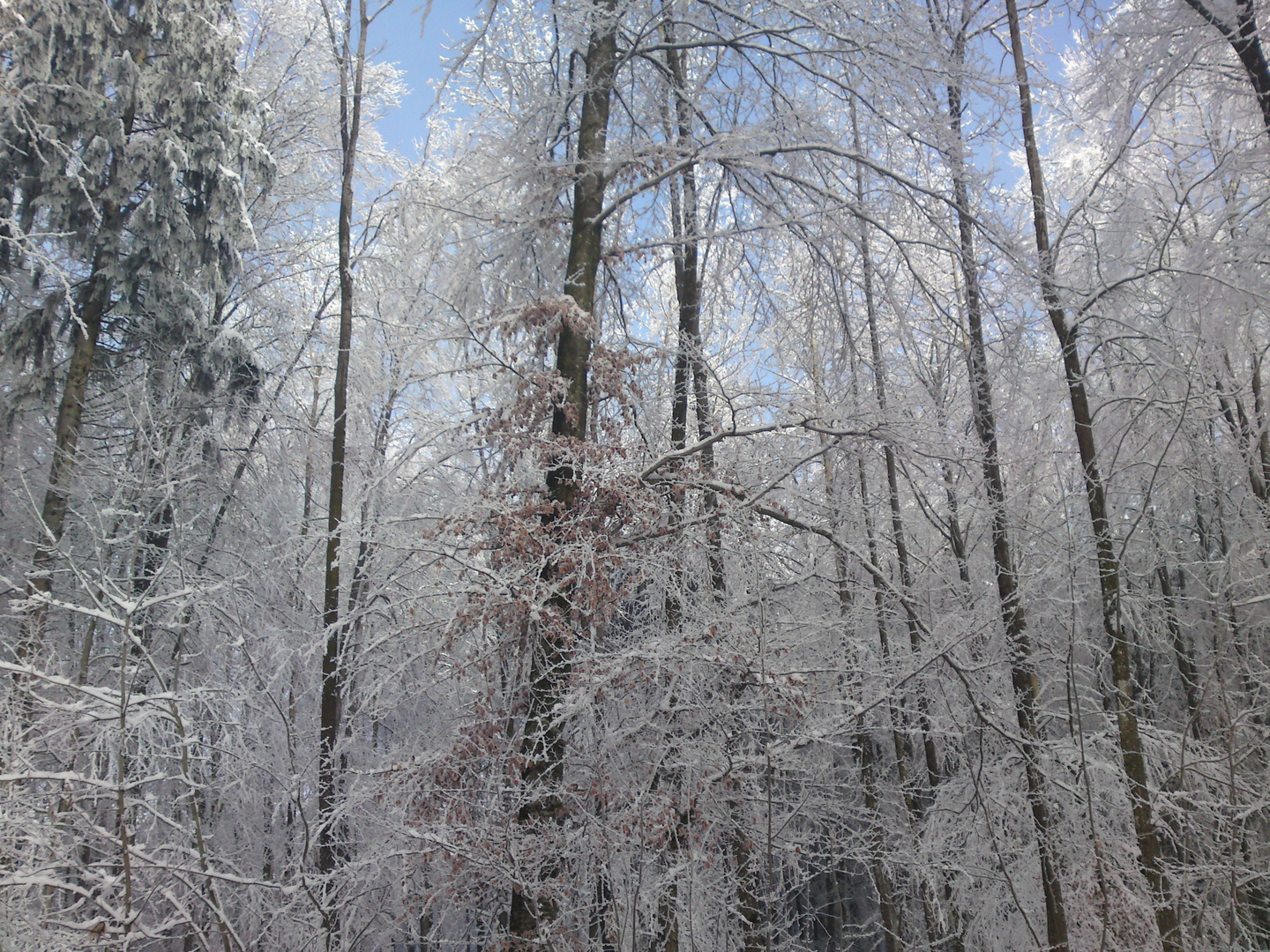 L'hiver chez moi