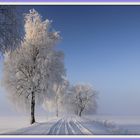 L`hiver dans la Forêt Noire