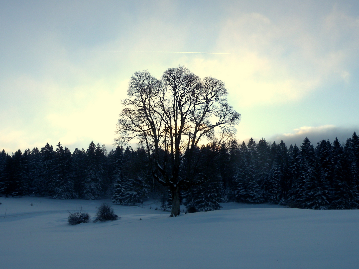 L'hiver dans le.. / Invierno en el.. / Winter im = Jura...01