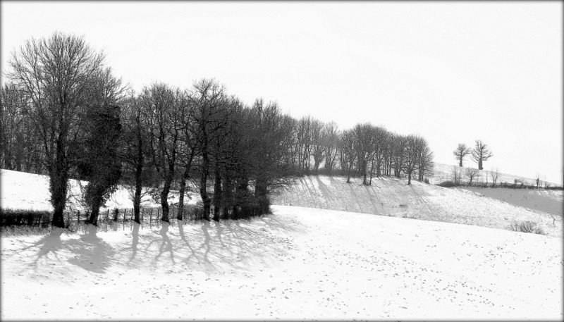 L'hiver dans les monts d'Alban (Tarn)