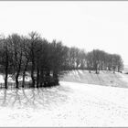 L'hiver dans les monts d'Alban (Tarn)