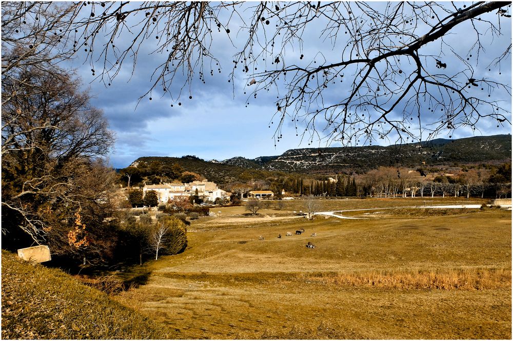 L'hiver du Luberon