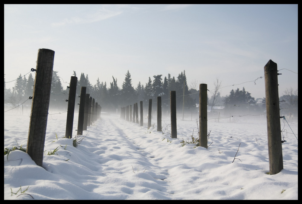 L'hiver du luberon....la neige, ici aussi ça nous gagne...