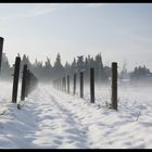 L'hiver du luberon....la neige, ici aussi ça nous gagne...