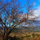 L'hiver en Luberon