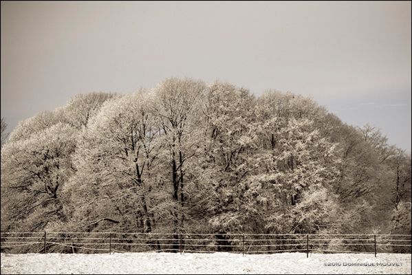l'hiver est bien arrivé....