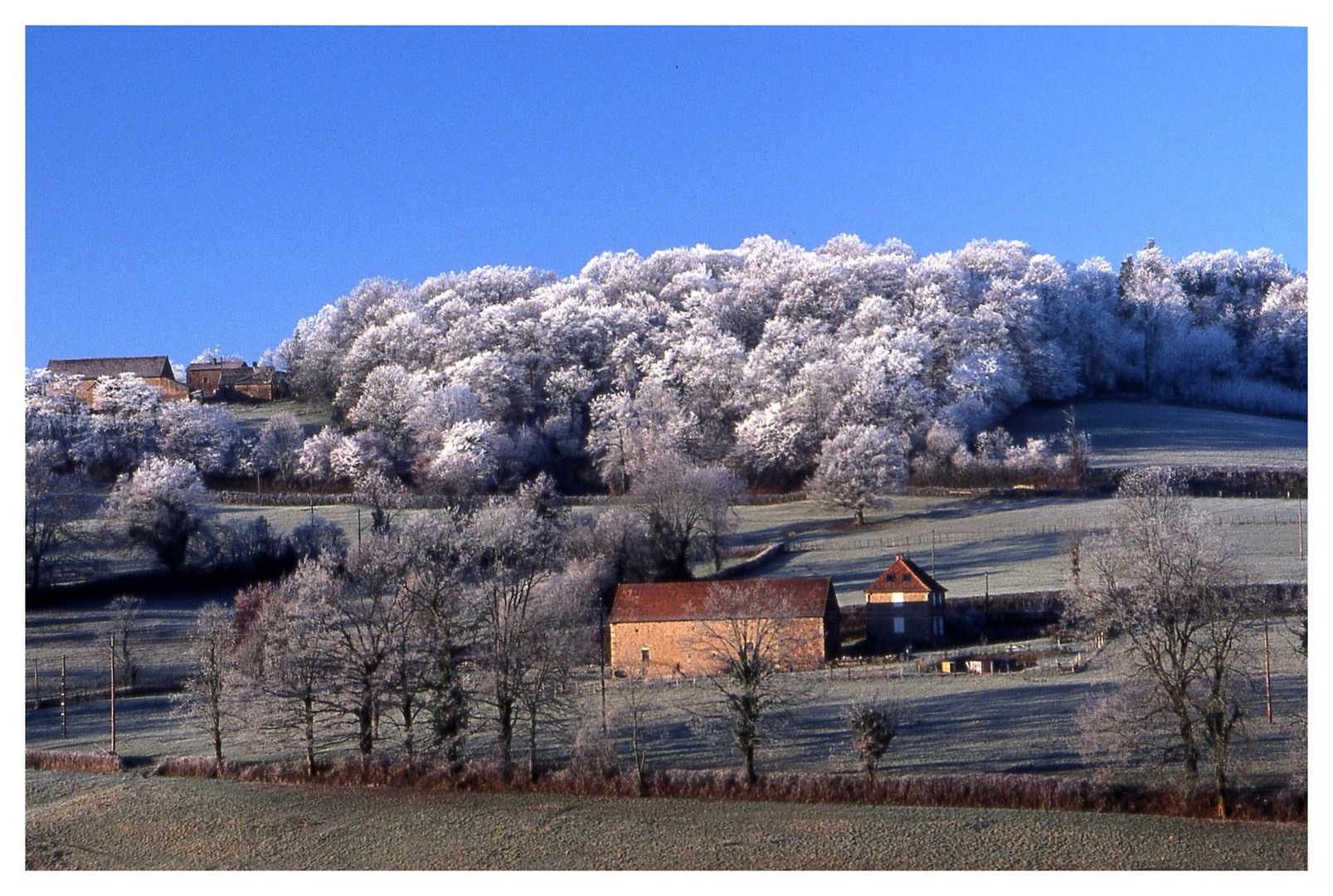 L'HIVER EST INSTALLE