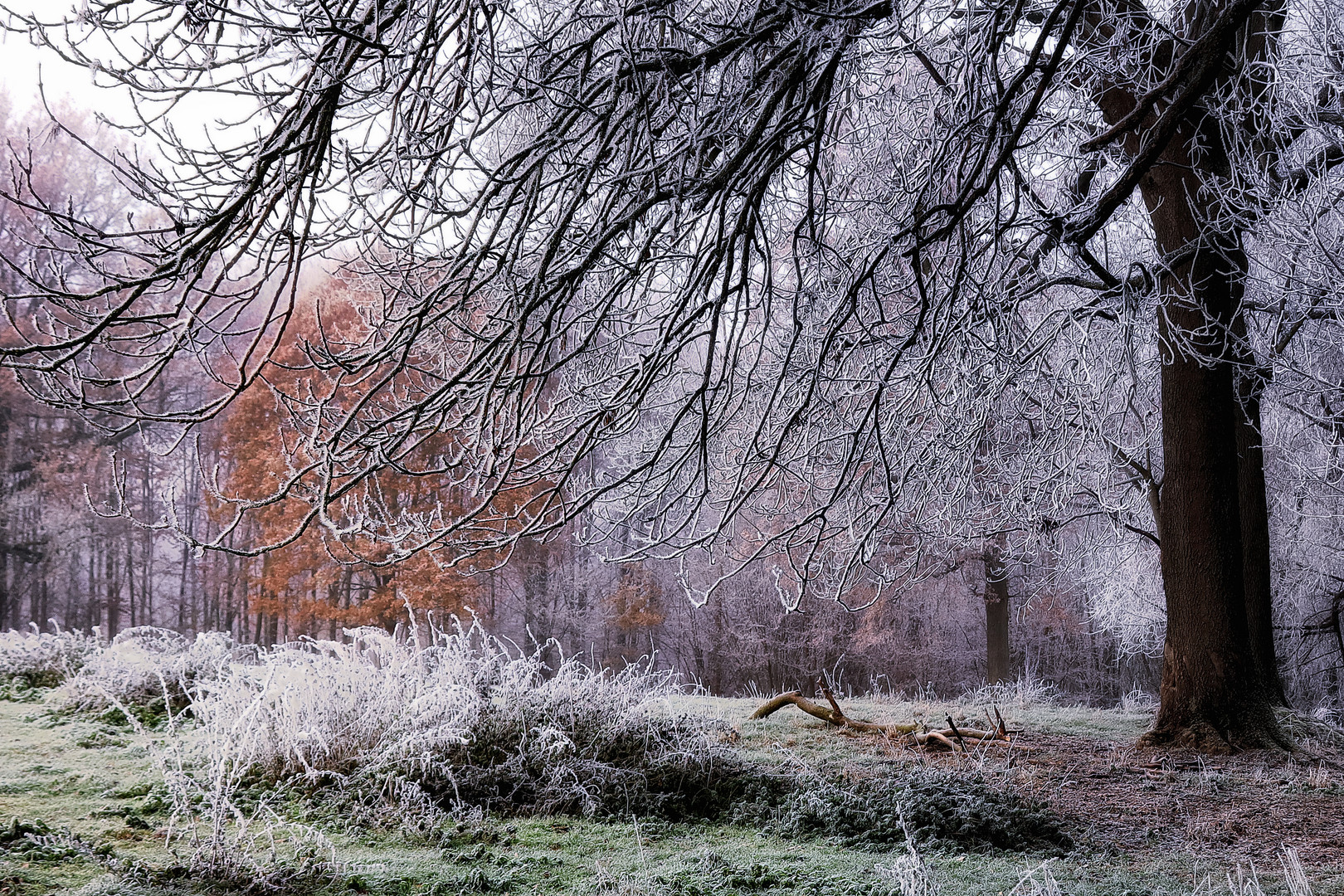 L'hiver est là