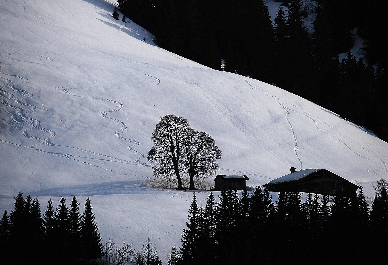 L'hiver est là..