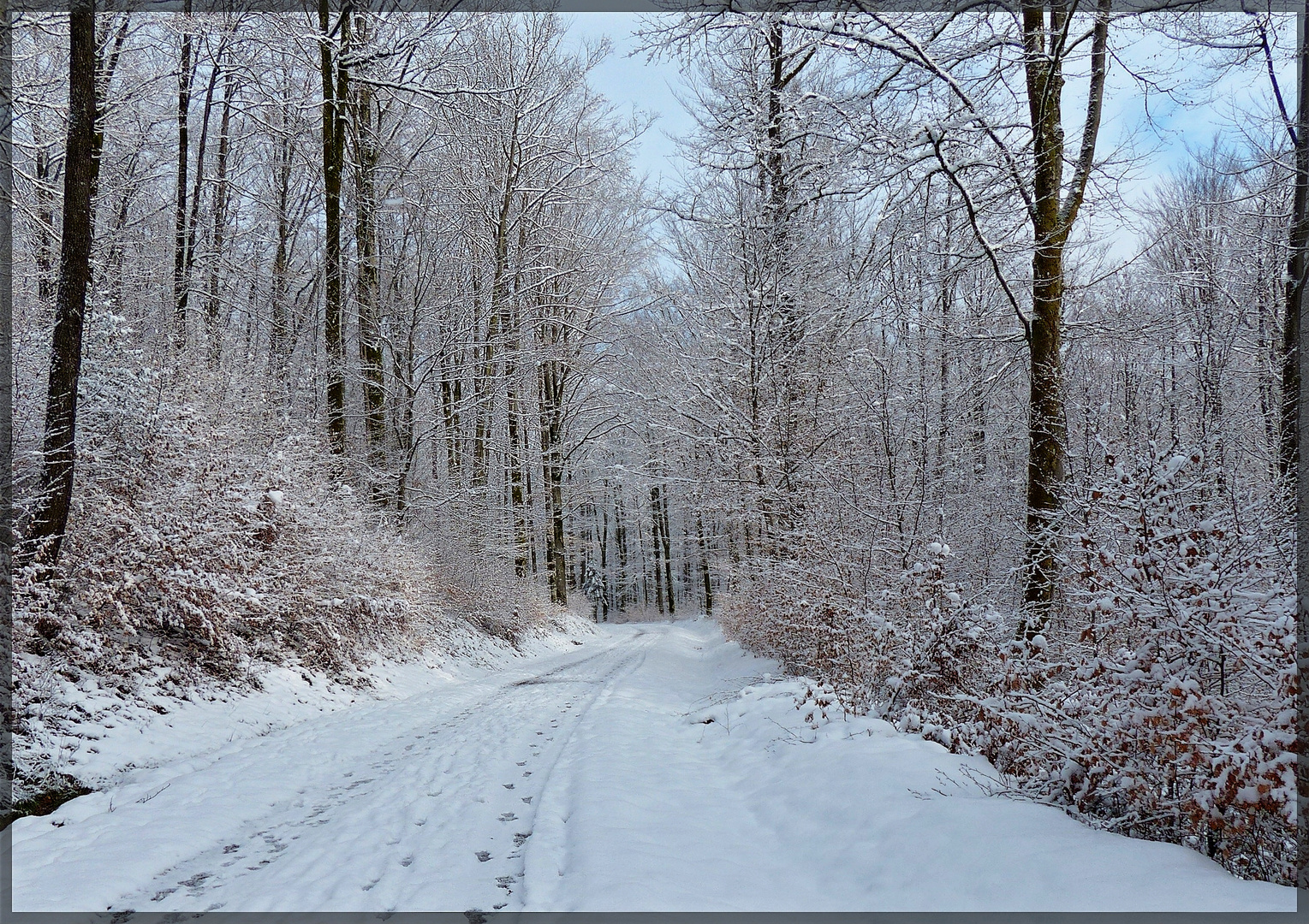 l'hiver ..............est long ......trop long