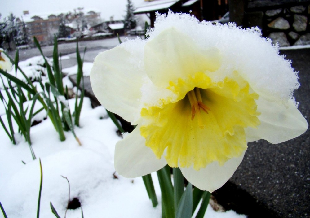 l'hiver est pas fini