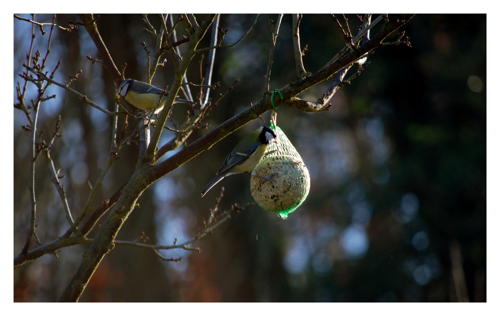 L'Hiver perdure ...