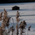 l'hiver qui ralenti le temps