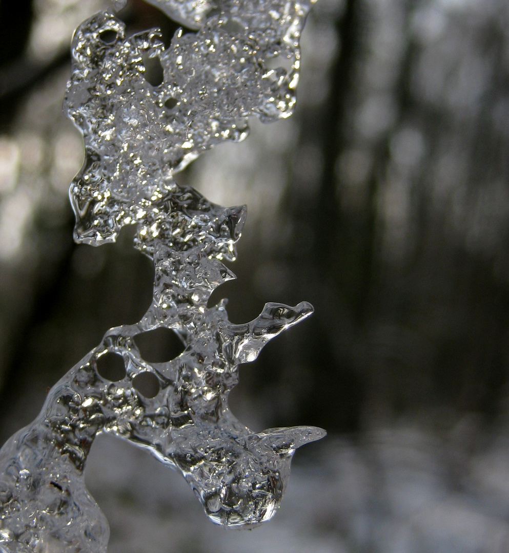 l'hiver rime avec Casper