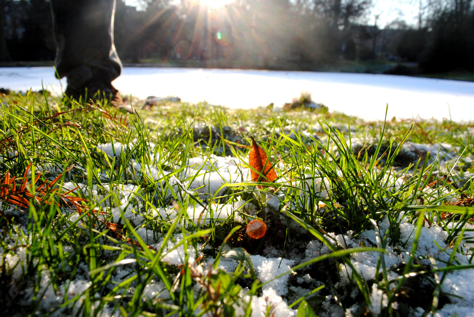 L'hiver sort de sa caverne..