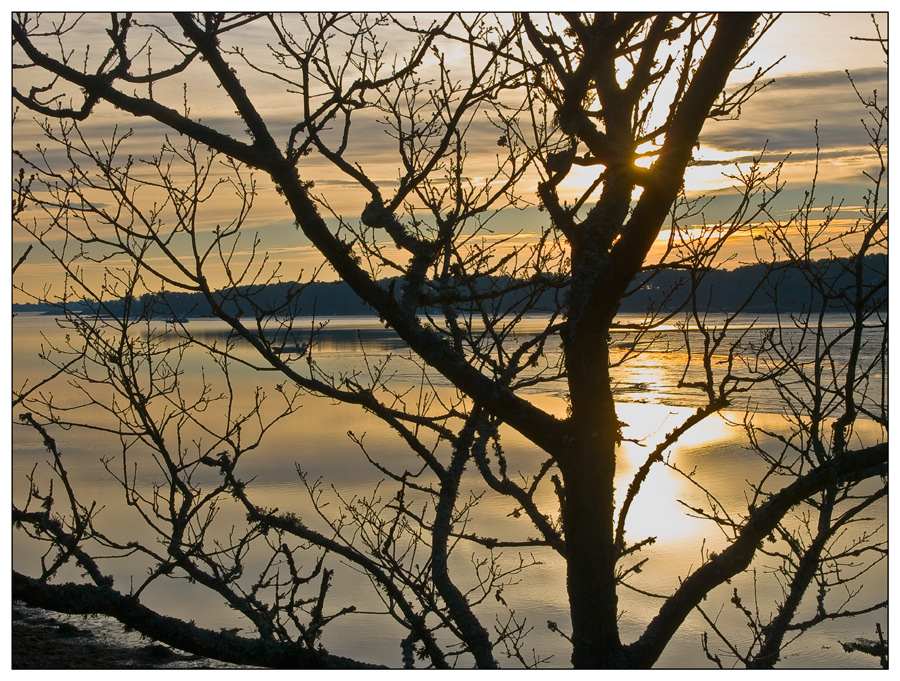 L'hiver sur le Golfe du Morbihan