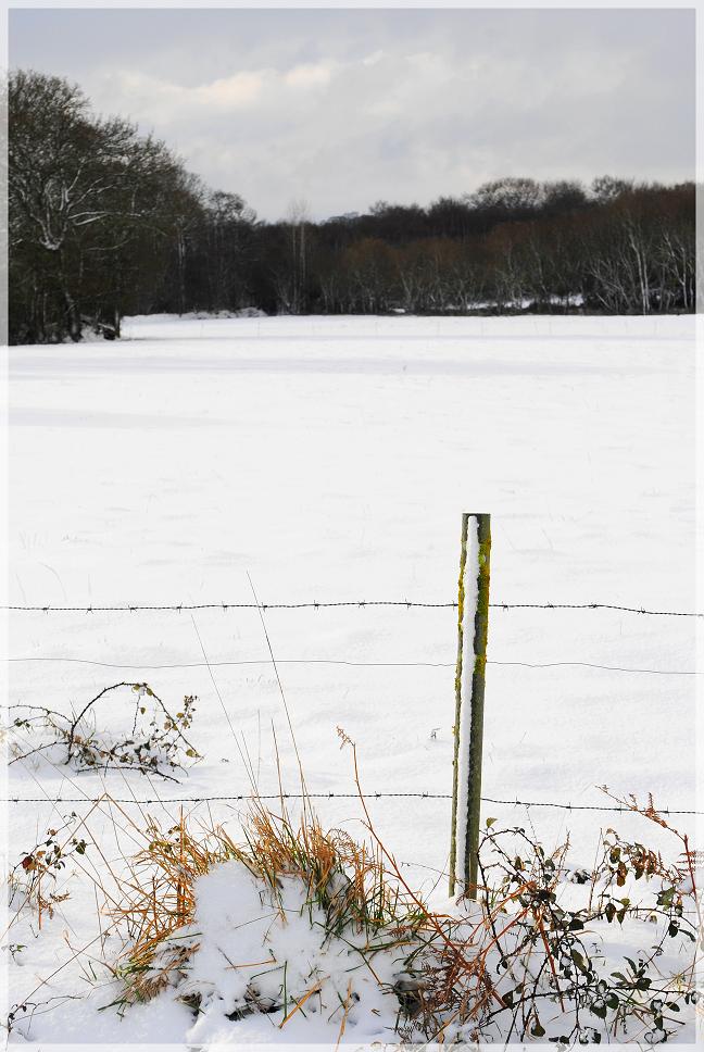 L'hivers et cette neige