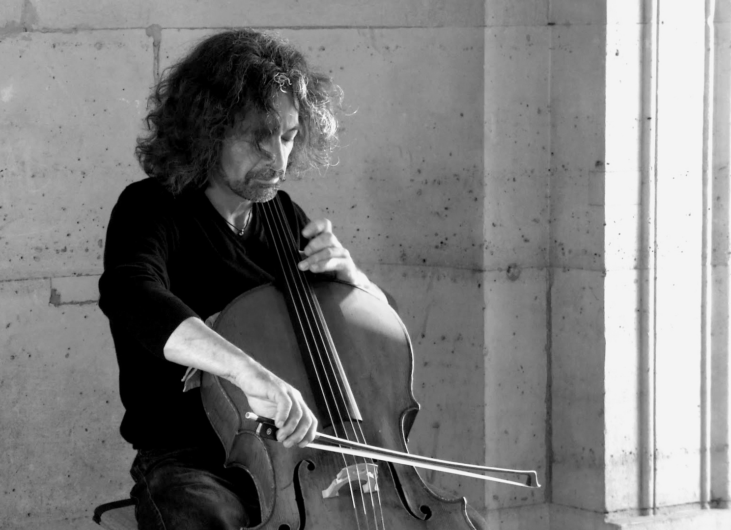 L'homme au cello du Louvre