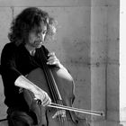 L'homme au cello du Louvre