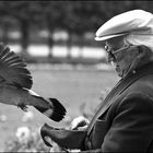 L'homme au pigeon