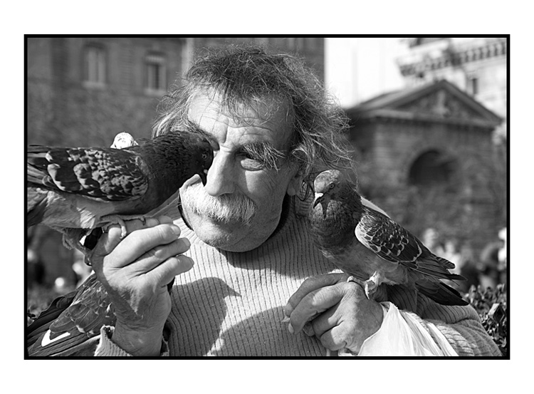 L'homme aux pigeons