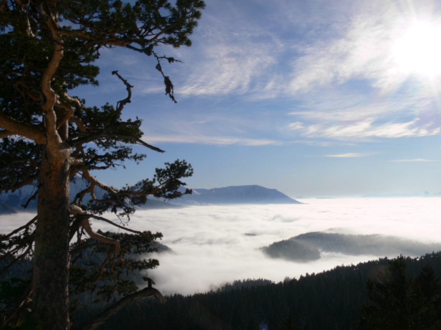 L'homme contemplant une mer de nuages.