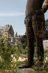 L'homme de Bois ( 2) 