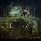 L'homme des cavernes