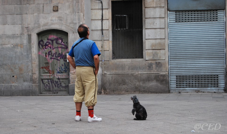 l'homme et la bête