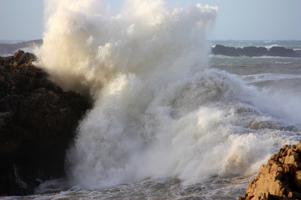 L'Homme et la Mer