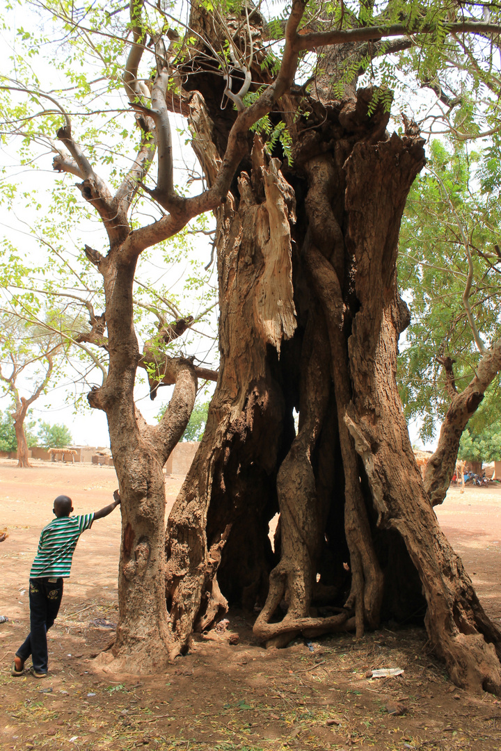 L'homme et la nature