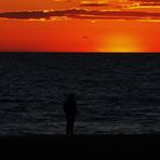 L'homme et l'oiseau