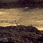 L'homme face à la nature