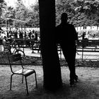 L'homme, l'arbre et la chaise