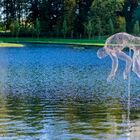 L'homme marchant sur l'eau