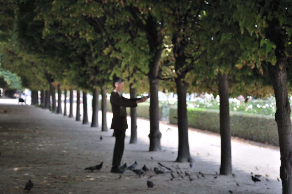 L'homme qui aimait les oiseaux