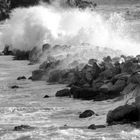 l'homme qui défi la vague