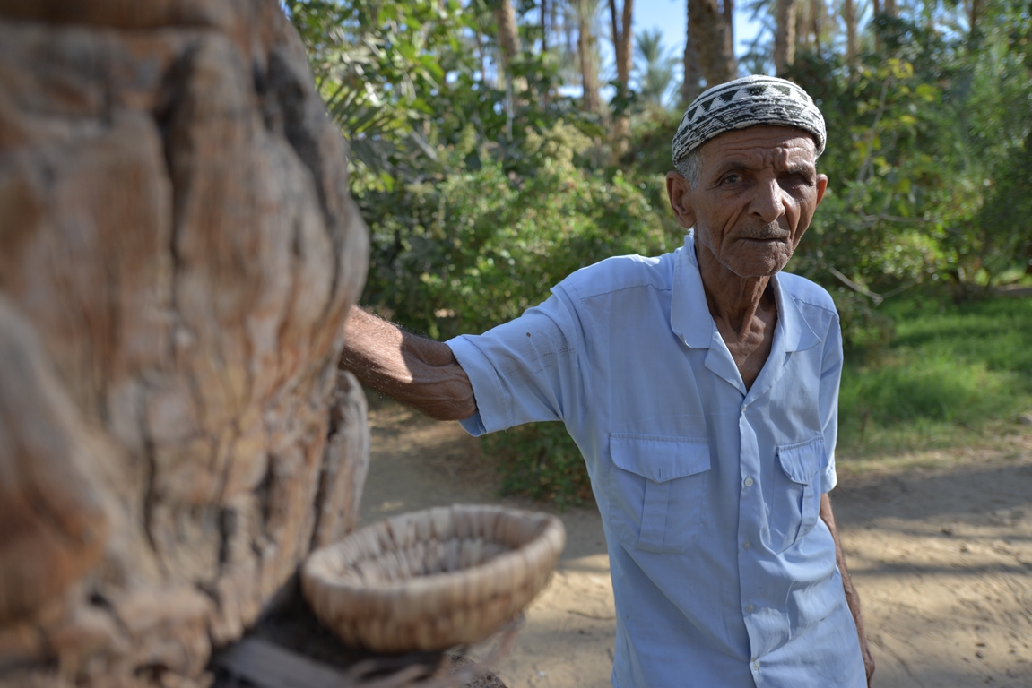 L'homme qui montait aux palmiers