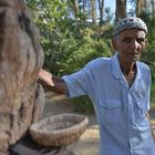 L'homme qui montait aux palmiers